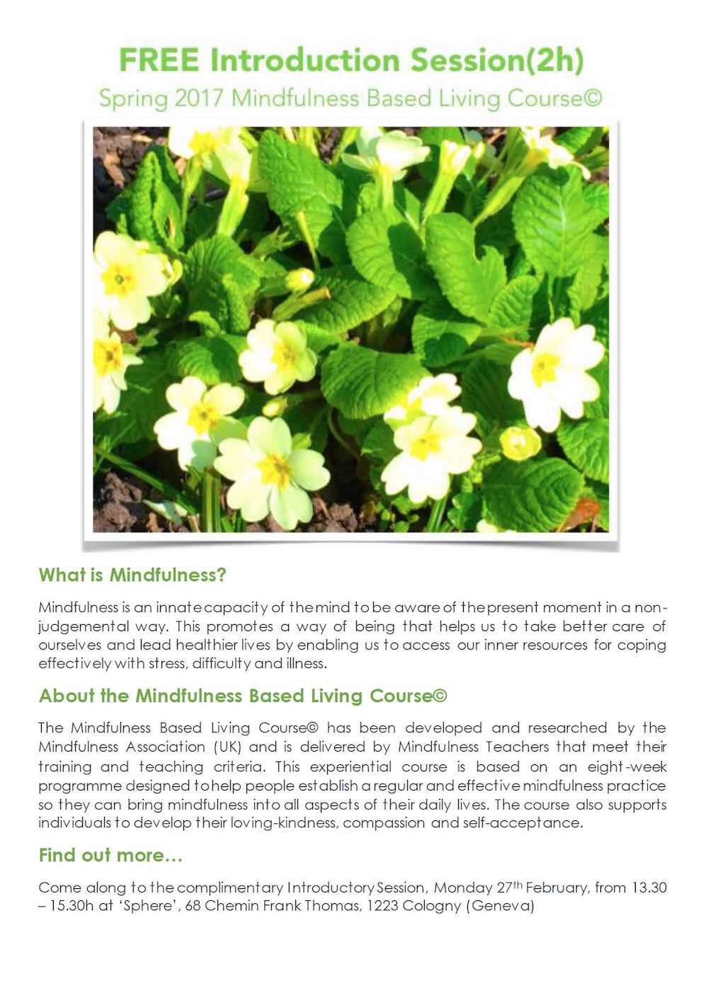 mindfulness spring 1