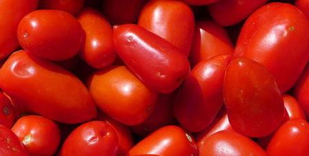 tara red tomatoes