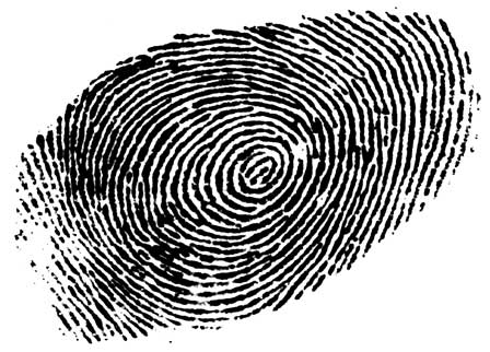 brand fingerprint
