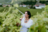 Swiss wine harvest time and festivals