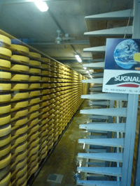 Gruyère Cheese Factory