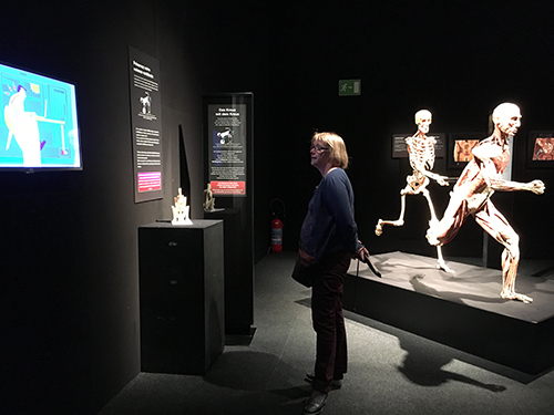 bodyworlds runners