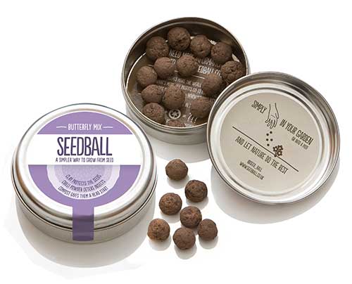 Seedball Butterfly Mix 1