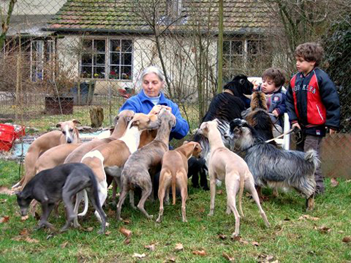 Of Liberty Madeleine avec ses whippets ses petits enfants et ses chevres naines