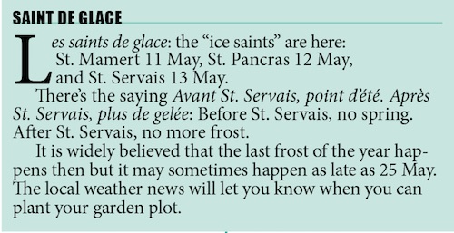 saint de glace