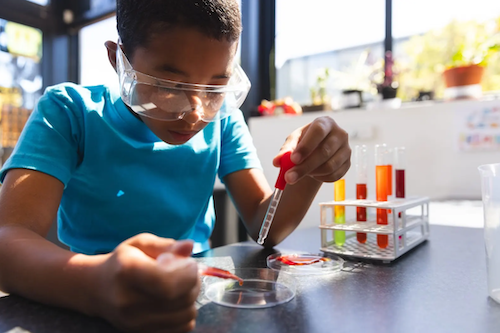 Screenshot 2026 03 30 082451