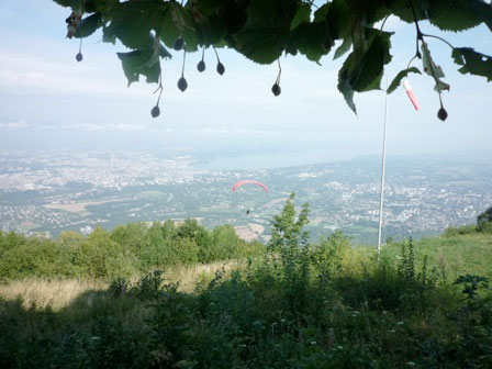 saleve-view-web