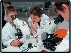 Microscope workshop