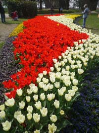 tulipfestival