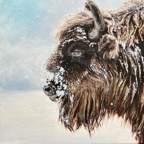 Bison acrylic canva